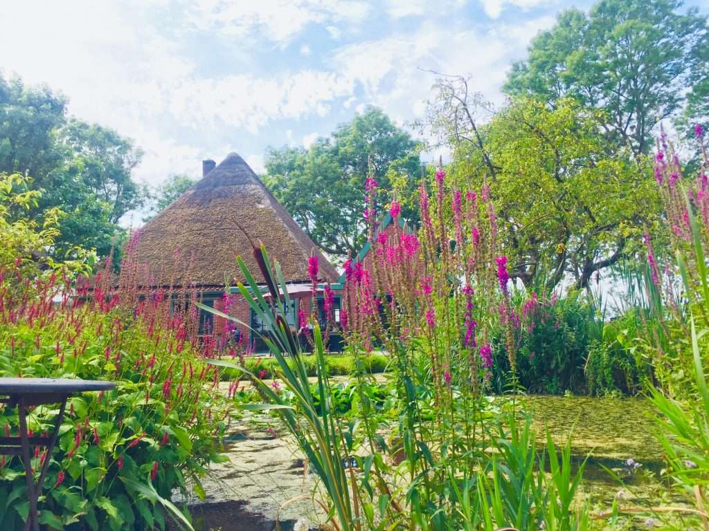 De boerderij waar Rust in de natuur gehouden wordt
