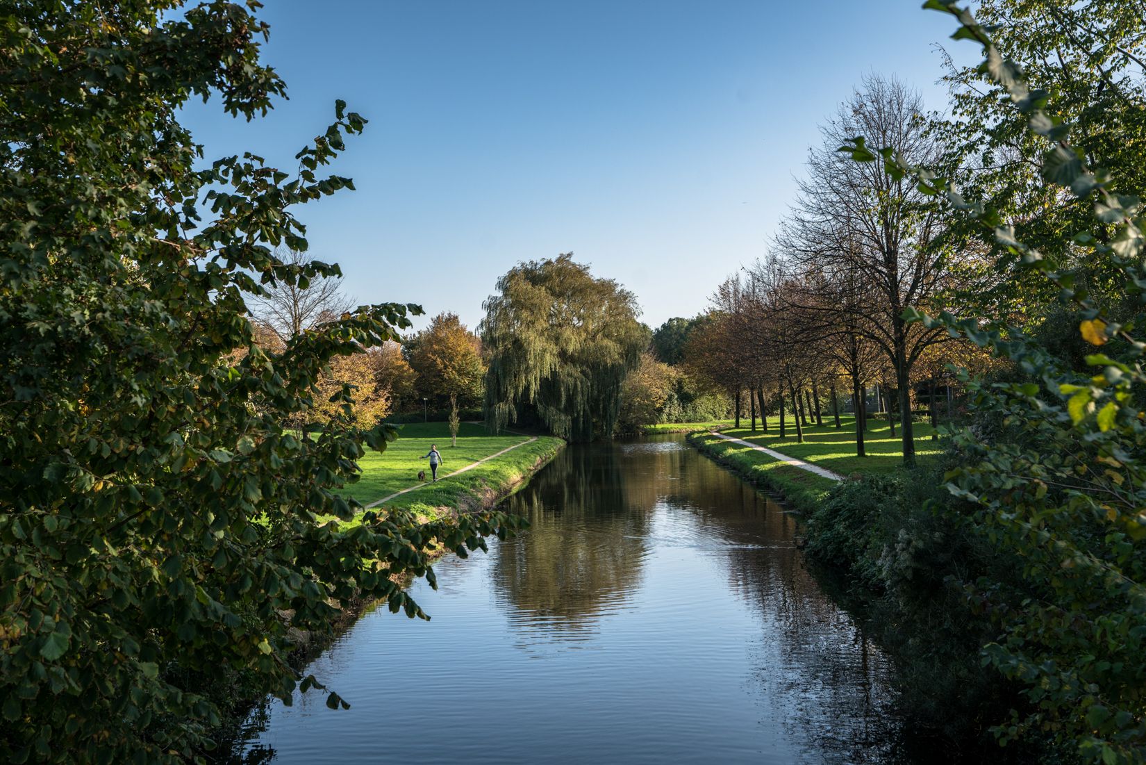 Het Willem Wiesepark in de wijk Kersenboogerd