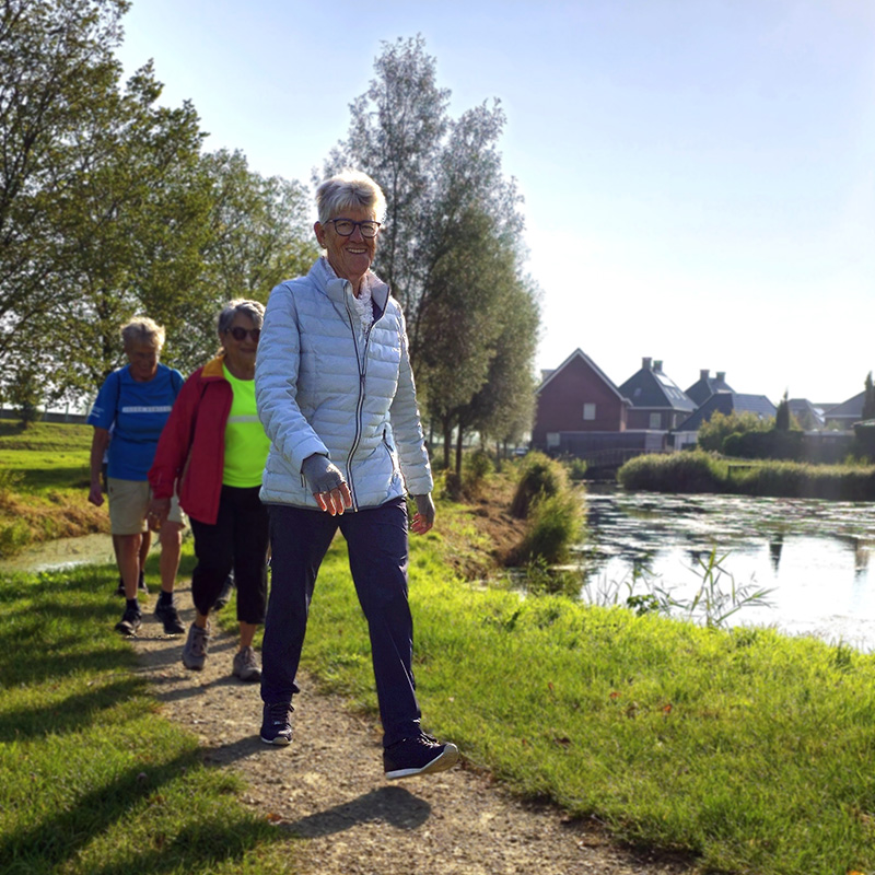 deelnemers aan het wandelprogramma